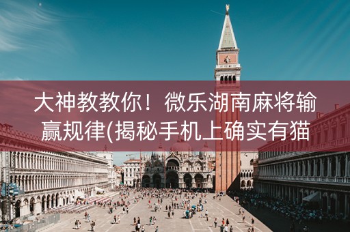 大神教教你！微乐湖南麻将输赢规律(揭秘手机上确实有猫腻)