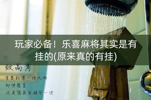 玩家必备！乐喜麻将其实是有挂的(原来真的有挂)