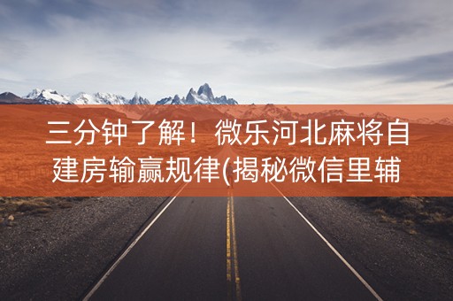 三分钟了解！微乐河北麻将自建房输赢规律(揭秘微信里辅牌器)