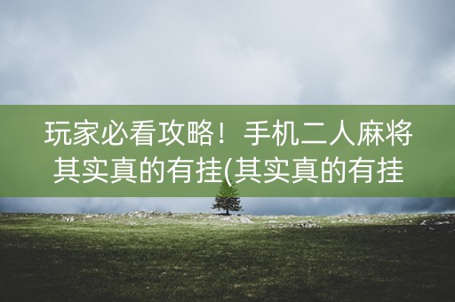 玩家必看攻略！手机二人麻将其实真的有挂(其实真的有挂)