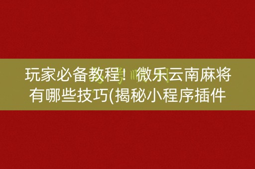 玩家必备教程！微乐云南麻将有哪些技巧(揭秘小程序插件购买)