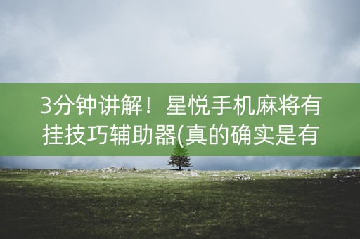 3分钟讲解！星悦手机麻将有挂技巧辅助器(真的确实是有挂)