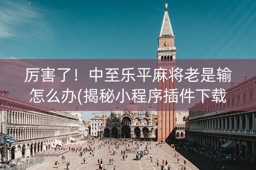 厉害了！中至乐平麻将老是输怎么办(揭秘小程序插件下载)