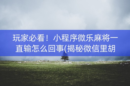 玩家必看！小程序微乐麻将一直输怎么回事(揭秘微信里胡牌神器)