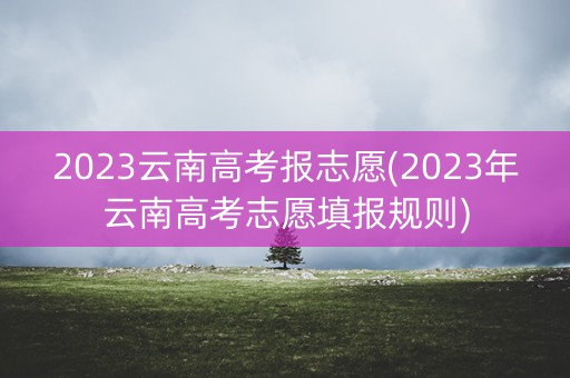 2023云南高考报志愿(2023年云南高考志愿填报规则)