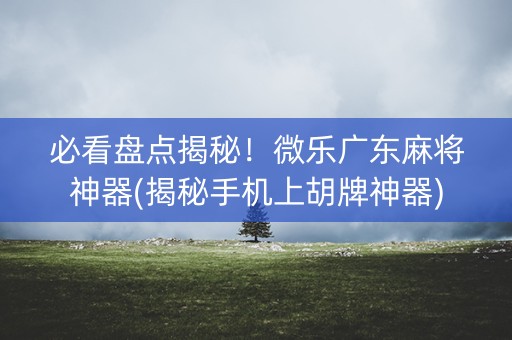 必看盘点揭秘！微乐广东麻将神器(揭秘手机上胡牌神器)