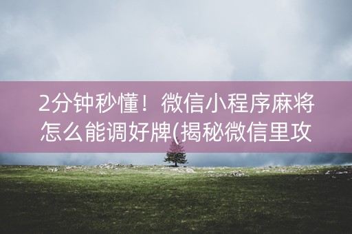 2分钟秒懂！微信小程序麻将怎么能调好牌(揭秘微信里攻略插件)