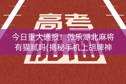 今日重大通报！微乐湖北麻将有猫腻吗(揭秘手机上胡牌神器)