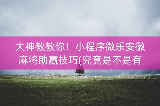大神教教你！小程序微乐安徽麻将助赢技巧(究竟是不是有挂)