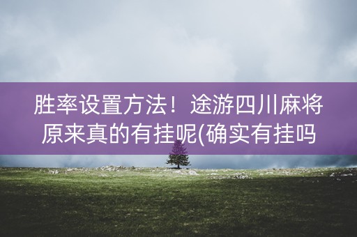 胜率设置方法！途游四川麻将原来真的有挂呢(确实有挂吗)
