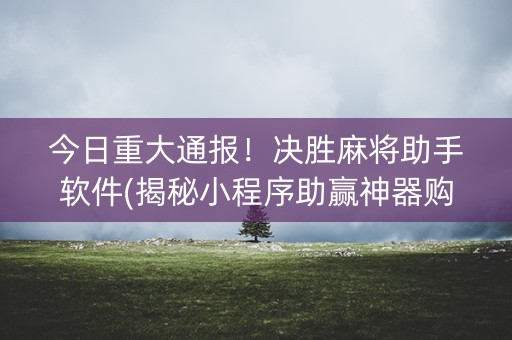 今日重大通报！决胜麻将助手软件(揭秘小程序助赢神器购买)
