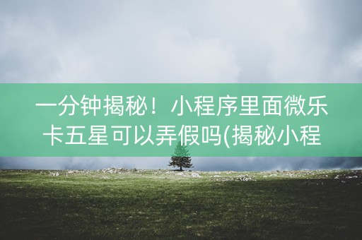 一分钟揭秘！小程序里面微乐卡五星可以弄假吗(揭秘小程序专用神器)