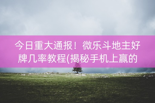 今日重大通报！微乐斗地主好牌几率教程(揭秘手机上赢的诀窍)