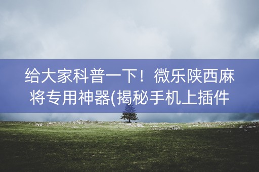 给大家科普一下！微乐陕西麻将专用神器(揭秘手机上插件下载)