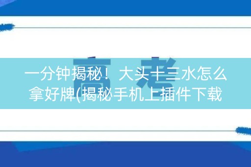 一分钟揭秘！大头十三水怎么拿好牌(揭秘手机上插件下载)