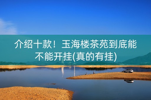 介绍十款！玉海楼茶苑到底能不能开挂(真的有挂)