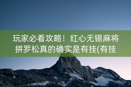 玩家必看攻略！红心无锡麻将拼罗松真的确实是有挂(有挂技巧辅助器)