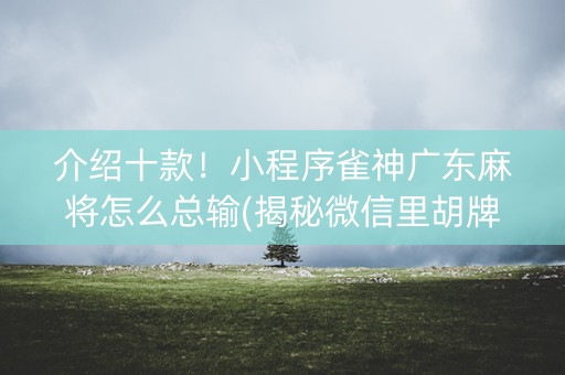 介绍十款！小程序雀神广东麻将怎么总输(揭秘微信里胡牌技巧)