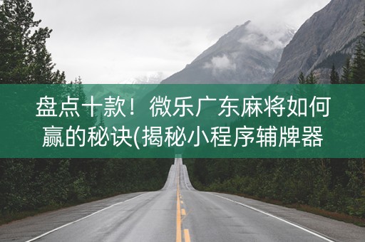 盘点十款！微乐广东麻将如何赢的秘诀(揭秘小程序辅牌器)