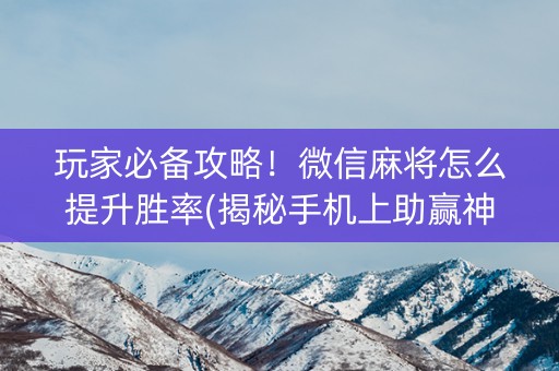 玩家必备攻略！微信麻将怎么提升胜率(揭秘手机上助赢神器购买)