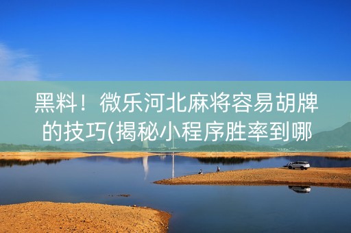 黑料！微乐河北麻将容易胡牌的技巧(揭秘小程序胜率到哪调)