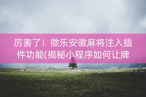 厉害了！微乐安徽麻将注入插件功能(揭秘小程序如何让牌变好)