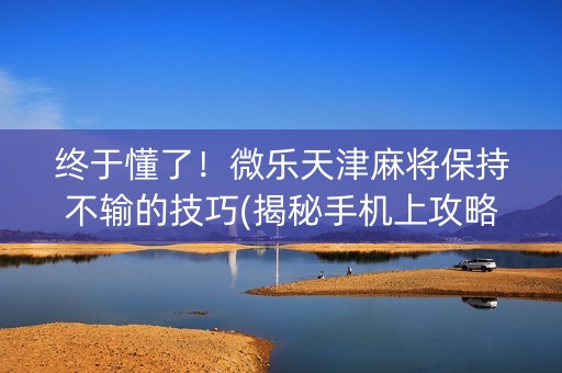 终于懂了！微乐天津麻将保持不输的技巧(揭秘手机上攻略插件)
