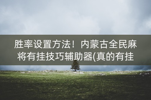 胜率设置方法！内蒙古全民麻将有挂技巧辅助器(真的有挂)