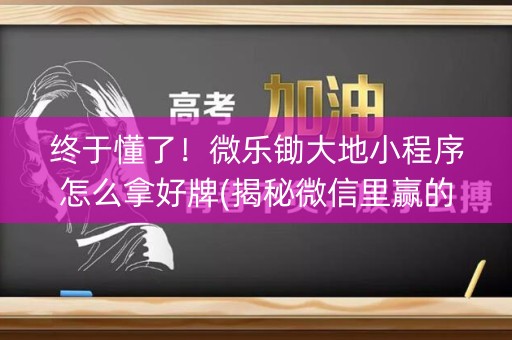 终于懂了！微乐锄大地小程序怎么拿好牌(揭秘微信里赢的诀窍)