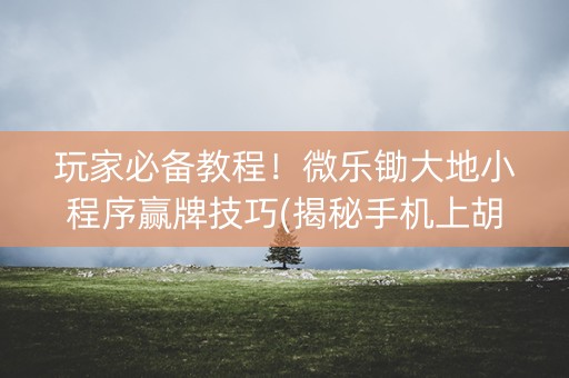 玩家必备教程！微乐锄大地小程序赢牌技巧(揭秘手机上胡牌神器)