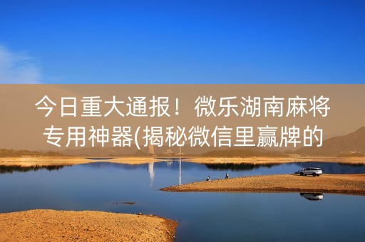 今日重大通报！微乐湖南麻将专用神器(揭秘微信里赢牌的技巧)