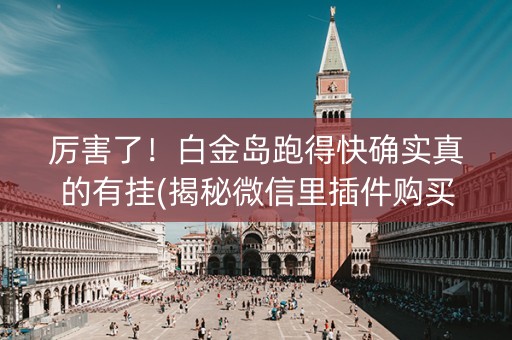 厉害了！白金岛跑得快确实真的有挂(揭秘微信里插件购买)