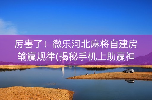 厉害了！微乐河北麻将自建房输赢规律(揭秘手机上助赢神器)