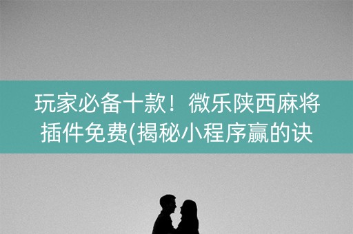 玩家必备十款！微乐陕西麻将插件免费(揭秘小程序赢的诀窍)