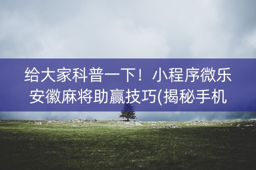 给大家科普一下！小程序微乐安徽麻将助赢技巧(揭秘手机上如何让牌变好)