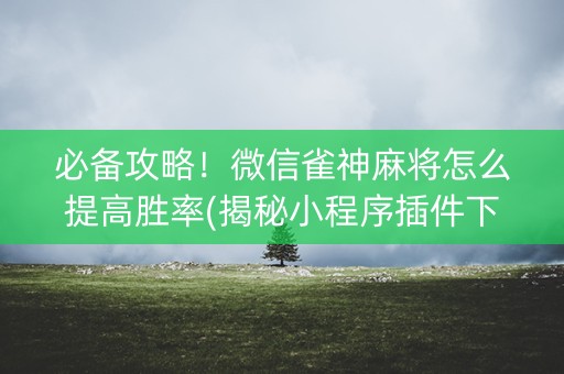 必备攻略！微信雀神麻将怎么提高胜率(揭秘小程序插件下载)