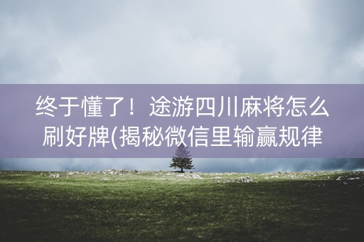 终于懂了！途游四川麻将怎么刷好牌(揭秘微信里输赢规律)