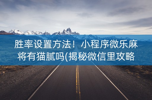 胜率设置方法！小程序微乐麻将有猫腻吗(揭秘微信里攻略插件)