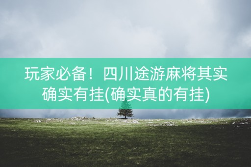 玩家必备！四川途游麻将其实确实有挂(确实真的有挂)