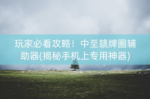 玩家必看攻略！中至赣牌圈辅助器(揭秘手机上专用神器)