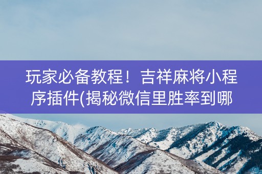 玩家必备教程！吉祥麻将小程序插件(揭秘微信里胜率到哪调)