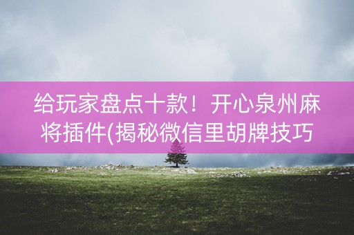 给玩家盘点十款！开心泉州麻将插件(揭秘微信里胡牌技巧)