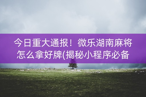 今日重大通报！微乐湖南麻将怎么拿好牌(揭秘小程序必备神器)