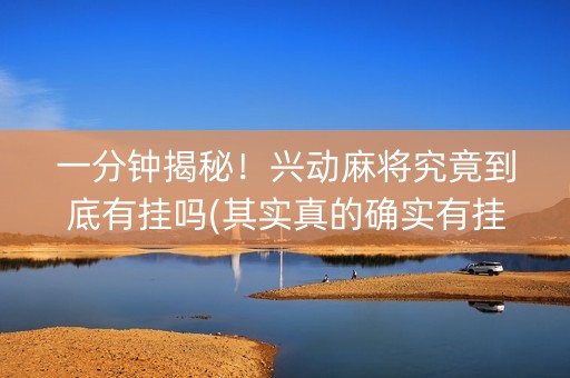 一分钟揭秘！兴动麻将究竟到底有挂吗(其实真的确实有挂)