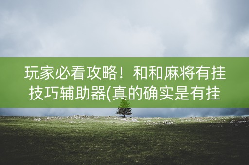 玩家必看攻略！和和麻将有挂技巧辅助器(真的确实是有挂)