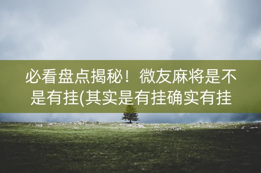 必看盘点揭秘！微友麻将是不是有挂(其实是有挂确实有挂)