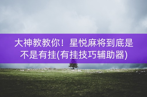 大神教教你！星悦麻将到底是不是有挂(有挂技巧辅助器)