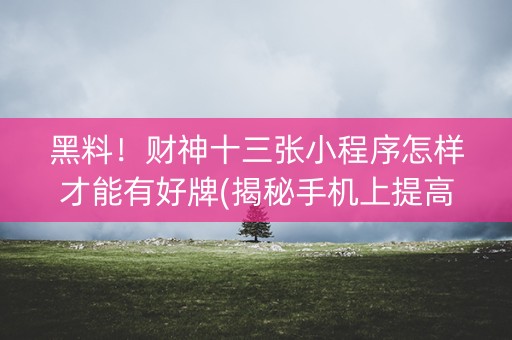 黑料！财神十三张小程序怎样才能有好牌(揭秘手机上提高胜率)