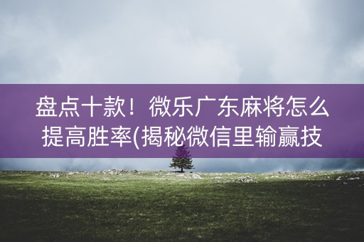 盘点十款！微乐广东麻将怎么提高胜率(揭秘微信里输赢技巧)