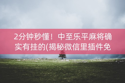 2分钟秒懂！中至乐平麻将确实有挂的(揭秘微信里插件免费)